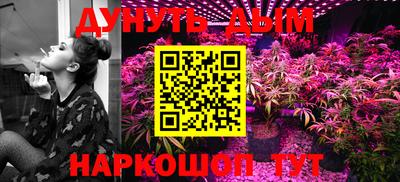 индика Славгород