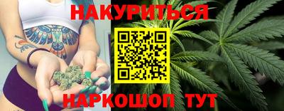 индика Славгород