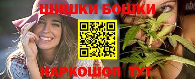 индика Славгород