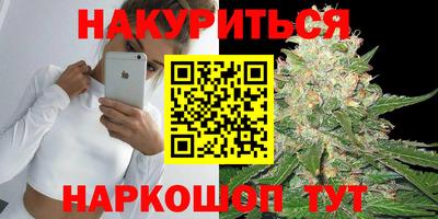 индика Славгород