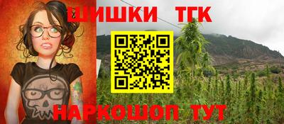 индика Славгород
