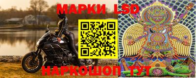 индика Славгород