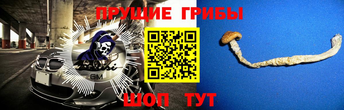 Псилоцибиновые грибы мицелий  Вход с VPN  Псилоцибиновые грибы мухоморы  Самара 