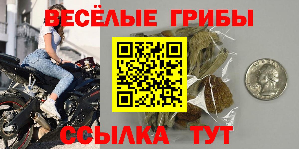 Псилоцибиновые грибы MAGIC MUSHROOMS Самара